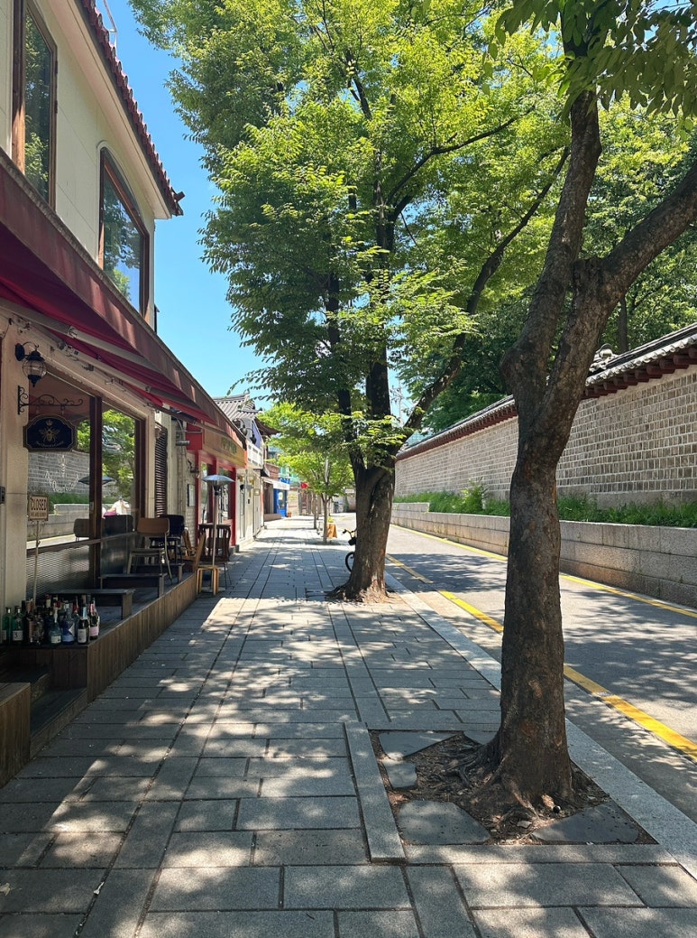 물만난댕댕이 이미지