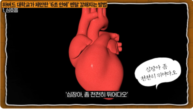 (주) 다미 이미지