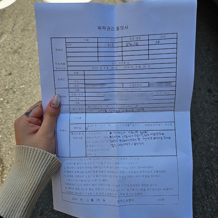 노원 고양이 호텔, 모모의고양이호텔 방문 후기 — 사진 6