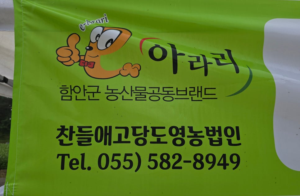 찬들애 이미지