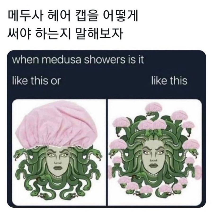 주식회사 메두사 이미지