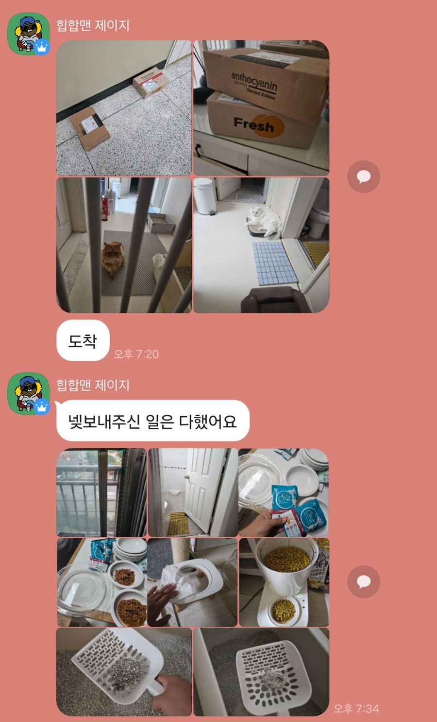 고양이 방문 탁묘 후기: 펫인플루언서의 세심한 돌봄 경험 — 사진 6