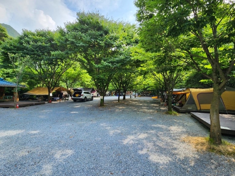 단양솔티천캠핑장 이미지