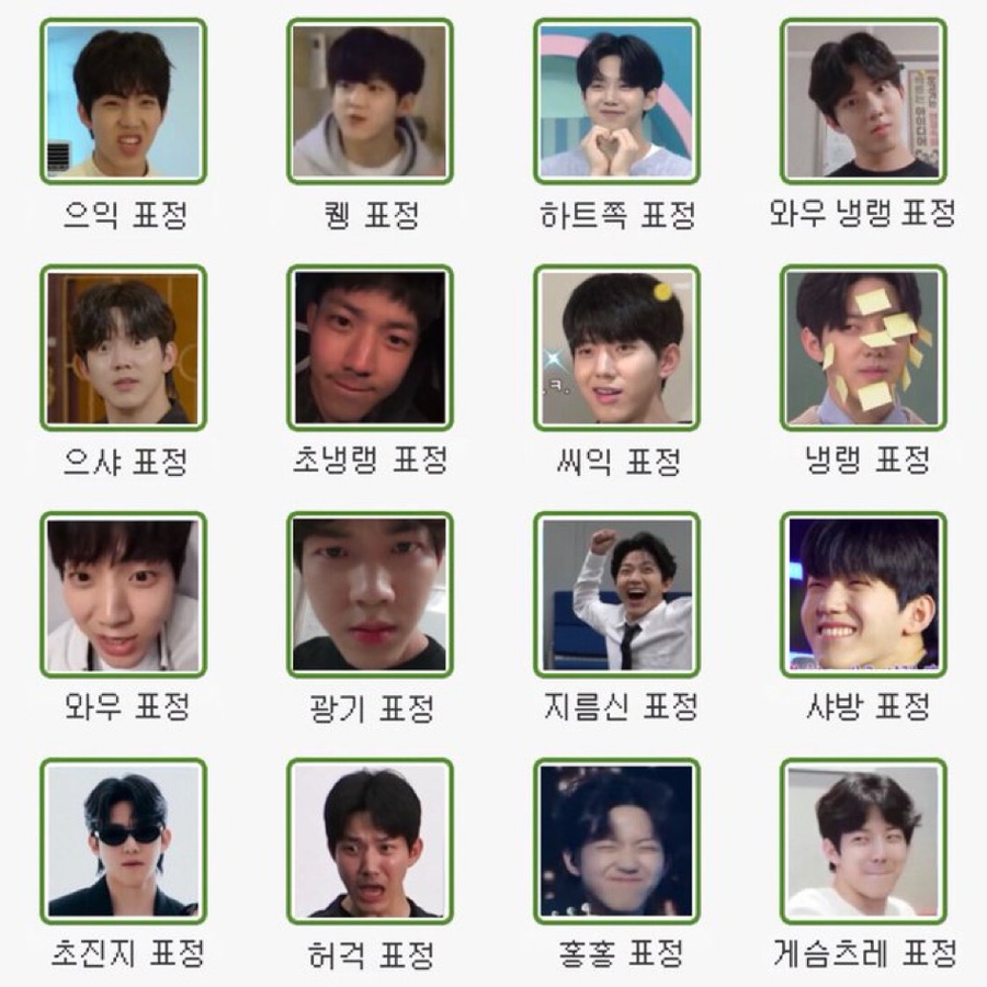 홍홍 이미지