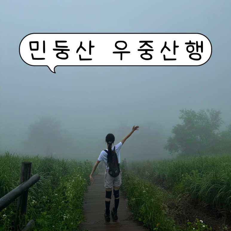 알레(alle) 이미지
