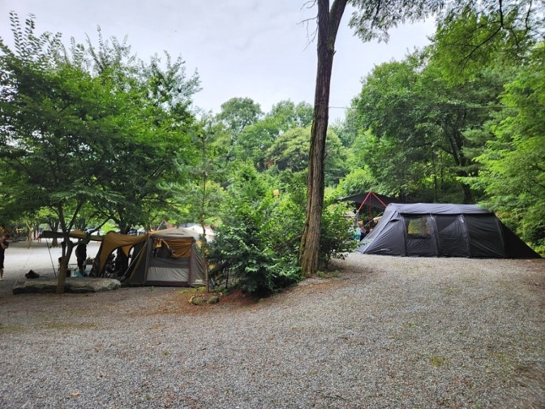 단양솔티천캠핑장 이미지