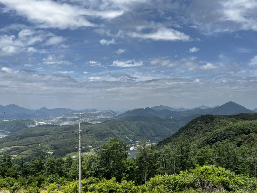 단지골몽상가 이미지