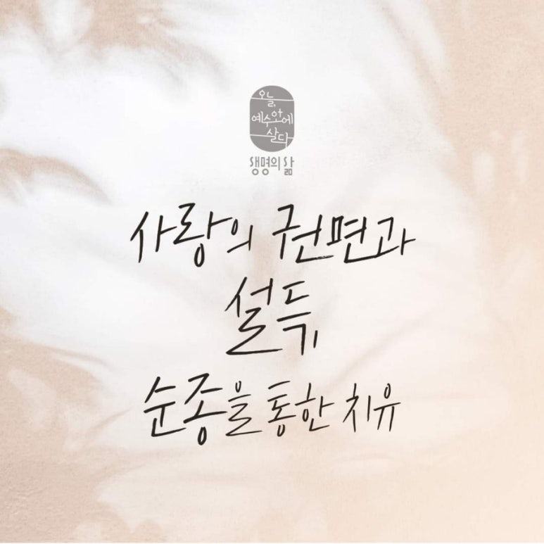 큐티하랑 이미지