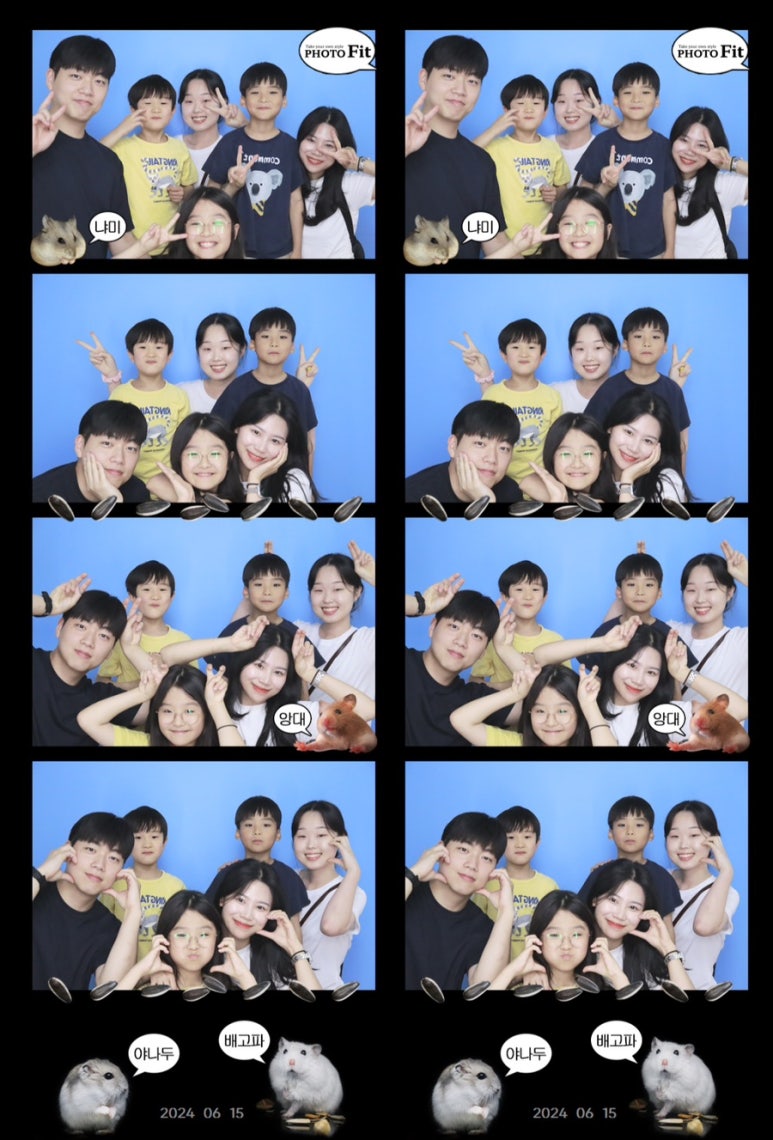 유하유 이미지