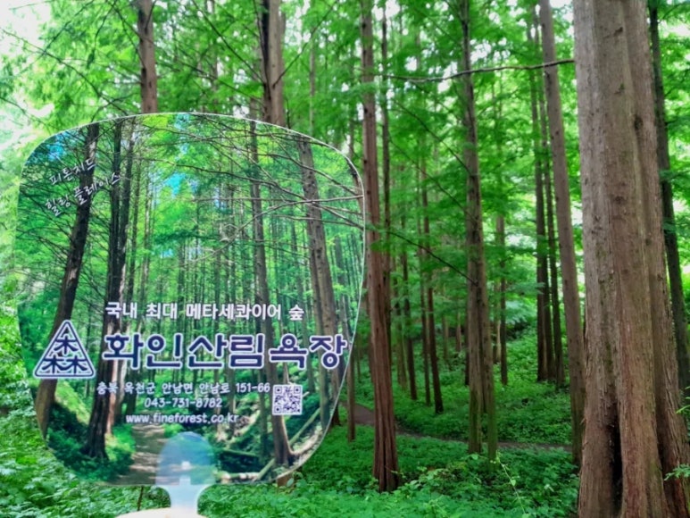 홍일상사 이미지