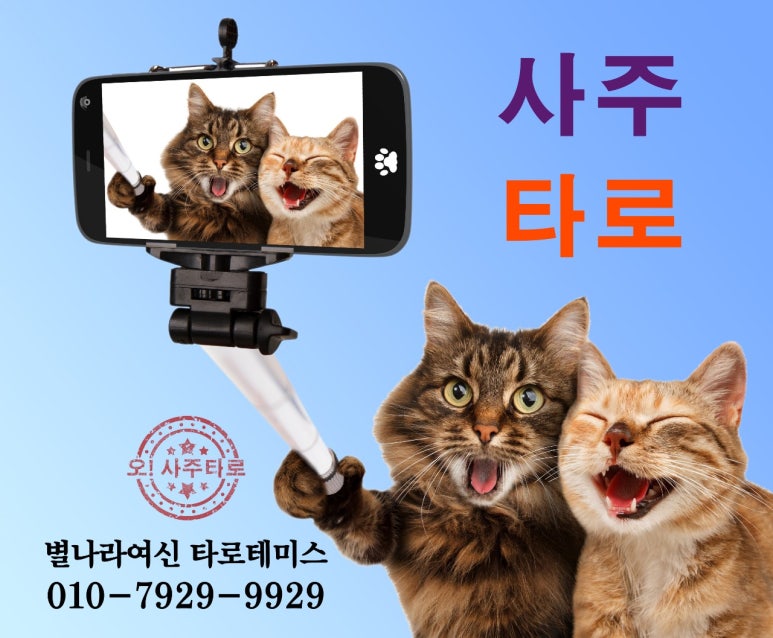 간월도캠핑장 이미지