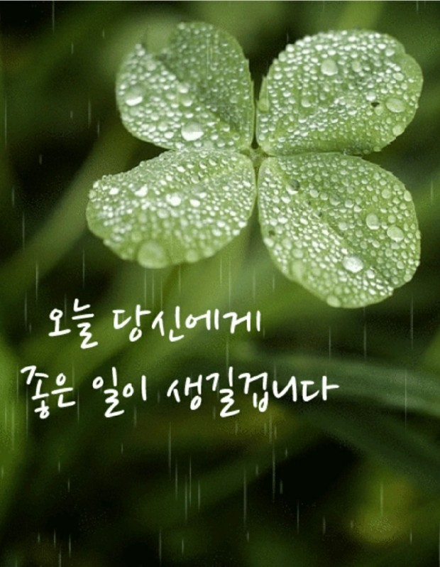 진영상사 이미지