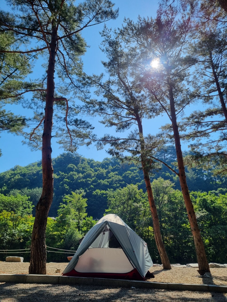샘골솔밭야영장 이미지