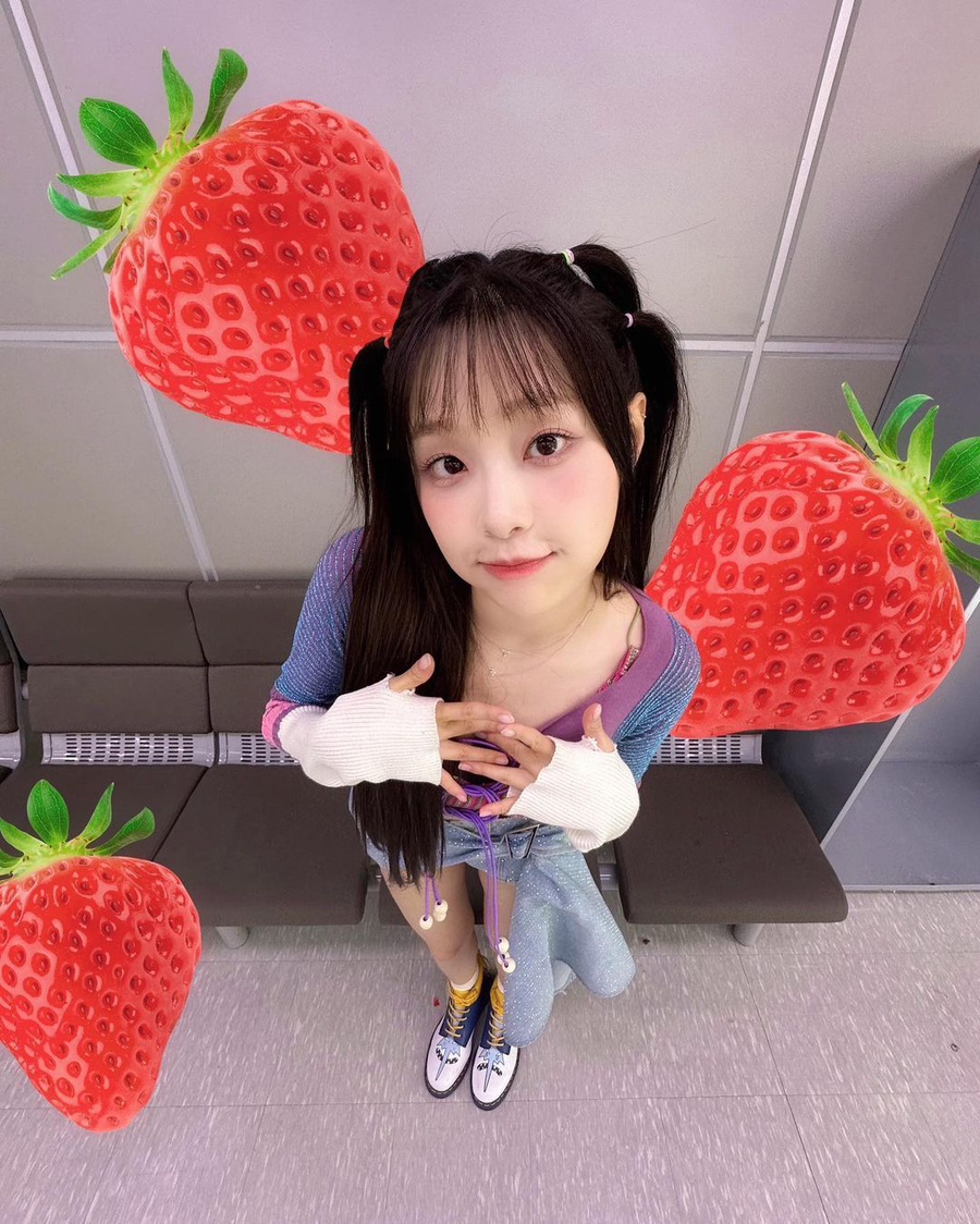 달콤한솜사탕 이미지