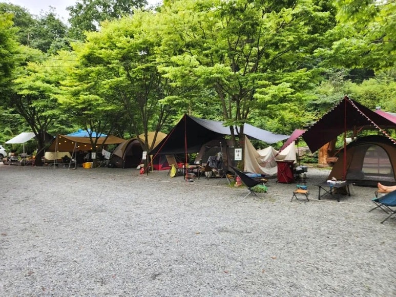 단양솔티천캠핑장 이미지