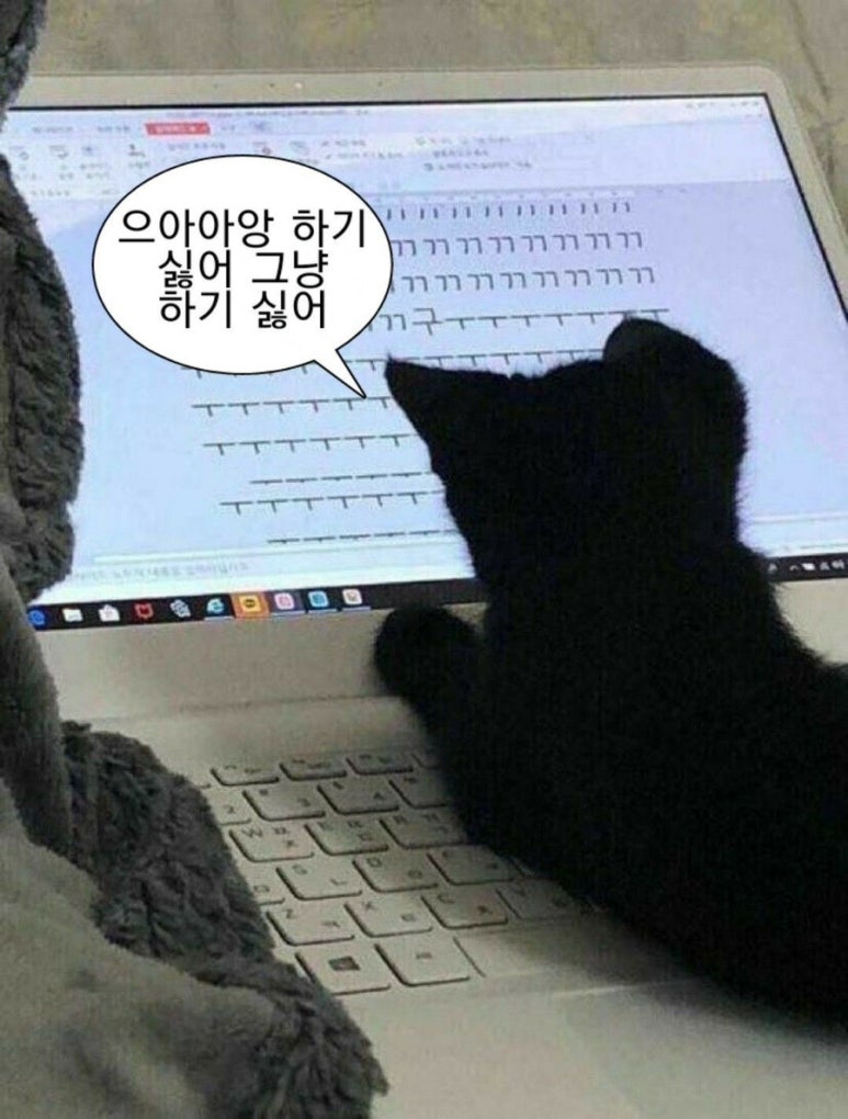 도와세움평생교육센터 이미지