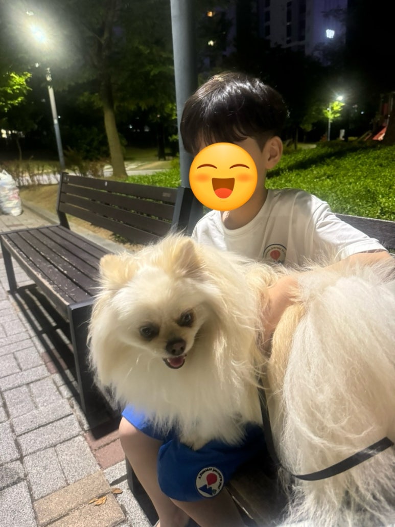 노랑강정김천율곡점 이미지