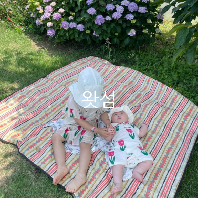 왓섬 이미지
