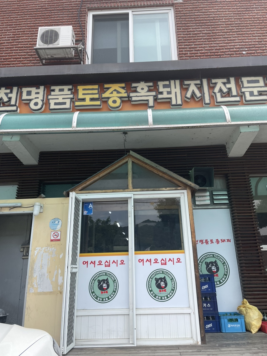 스테이하하하 이미지
