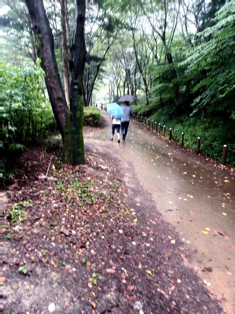 대아수목원 유아숲체험원 이미지