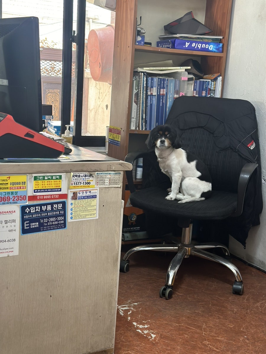 신광카센타 이미지