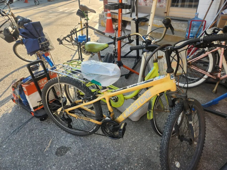 코렉스자전거세상 이미지