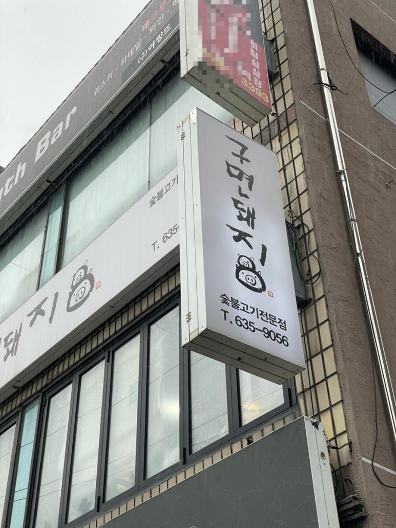 구면돼지 이미지
