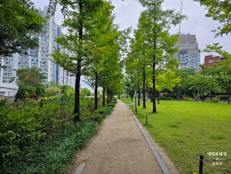 숲길 이미지