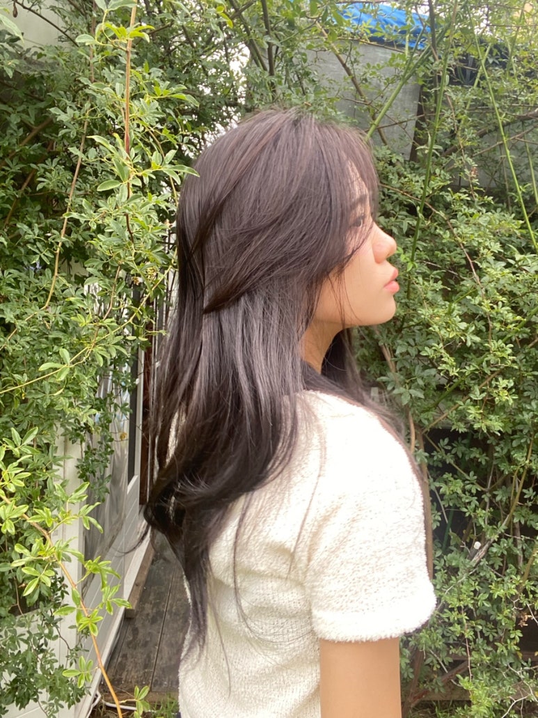 마일로헤어 이미지