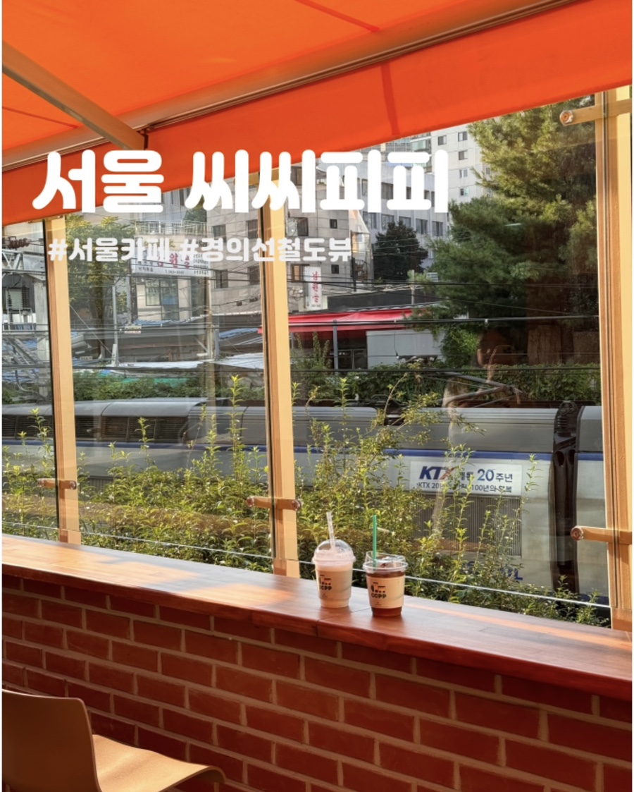 씨씨피피 이미지