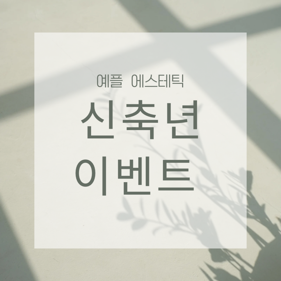 서로에스테틱 이미지