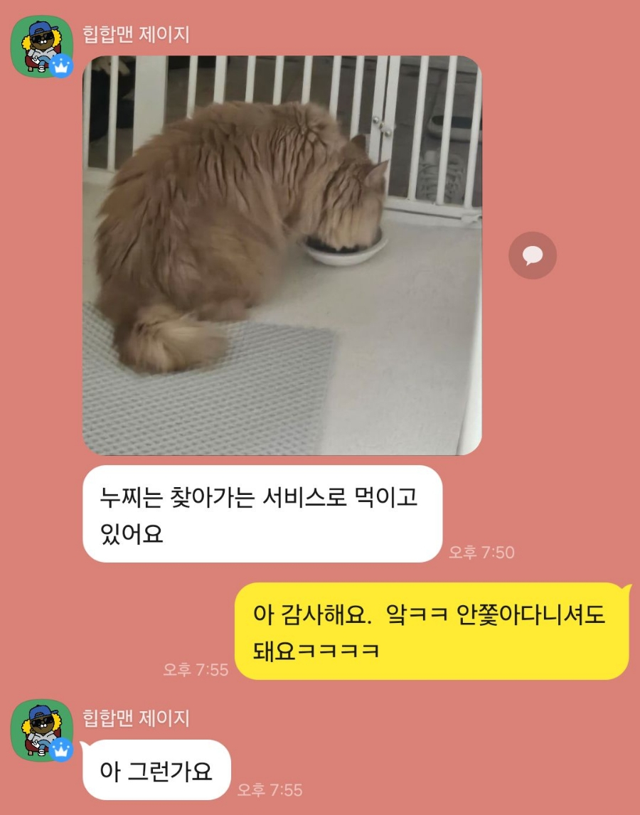 고양이 방문 탁묘 후기: 펫인플루언서의 세심한 돌봄 경험 — 사진 7