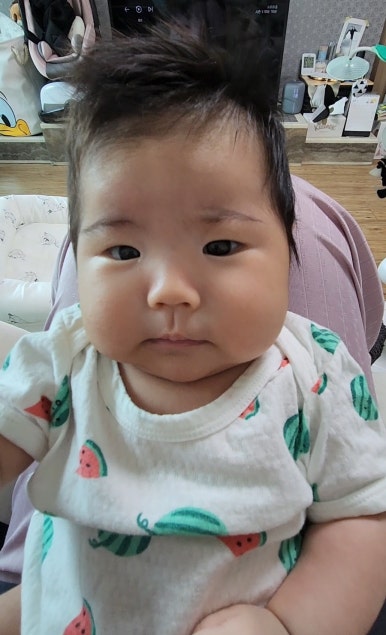 바오비 이미지