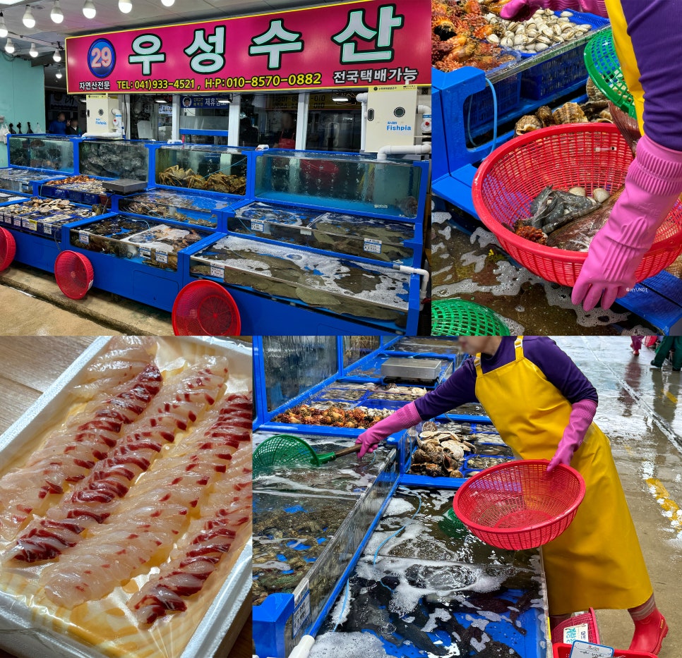 우성수산 이미지