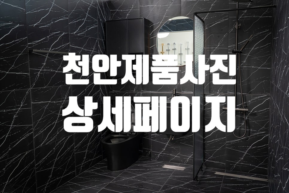 로만렌탈 이미지