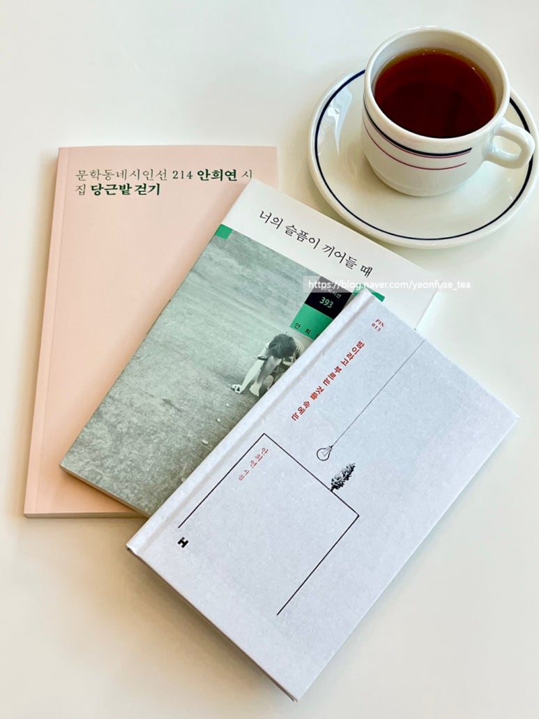 고울연;차 이미지
