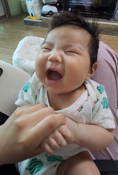바오비 이미지