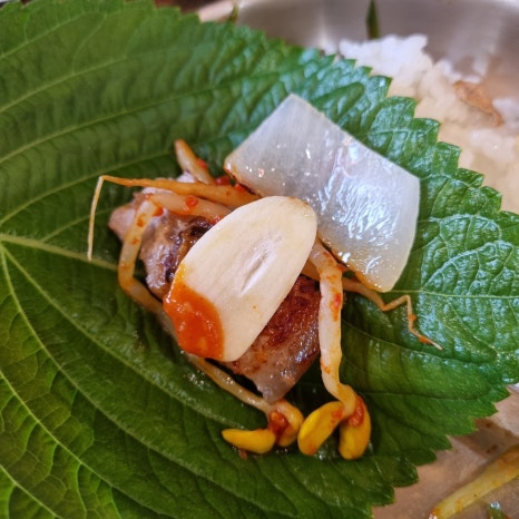 천지연랜드식당 이미지