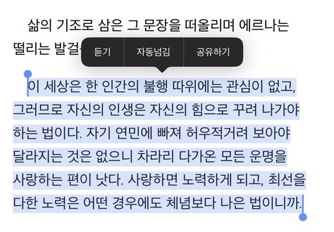 이케요케 이미지