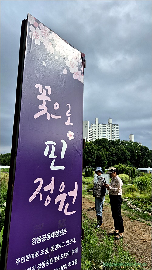 왕초네 이미지