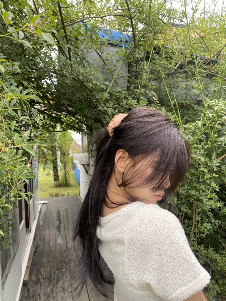 마일로헤어 이미지