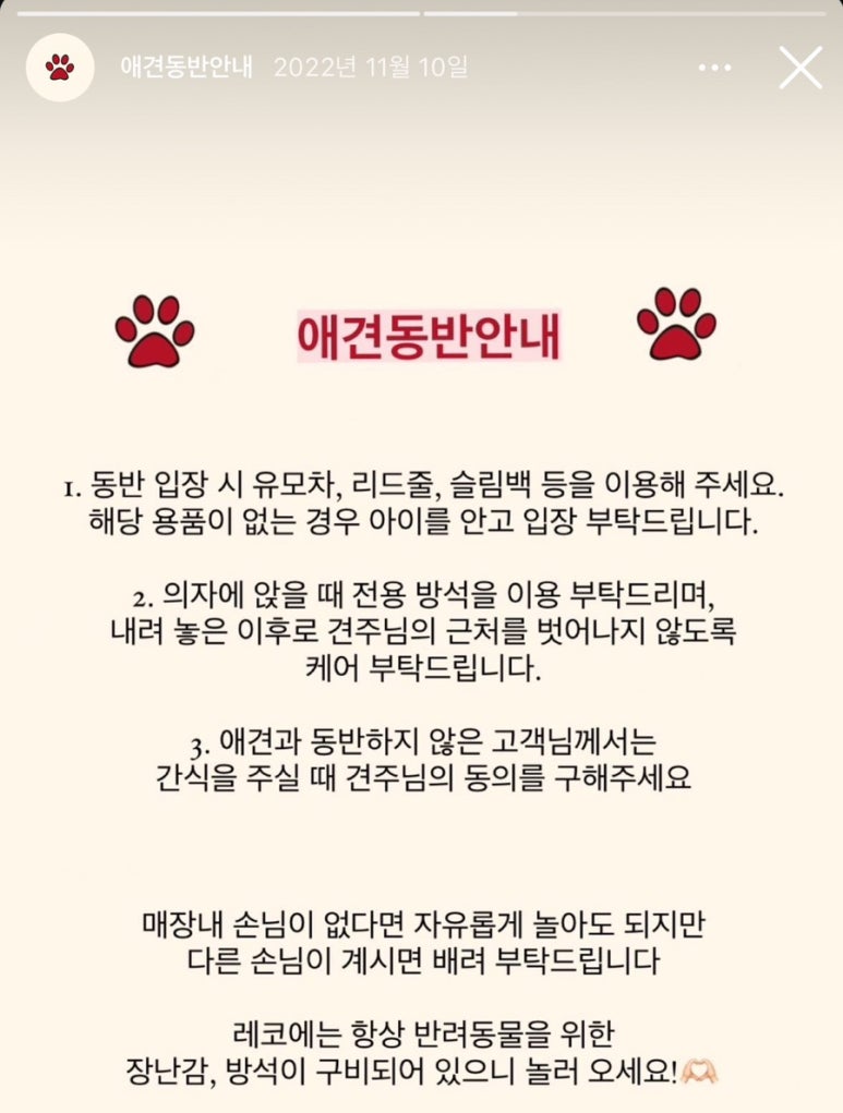 레이지앤코 이미지