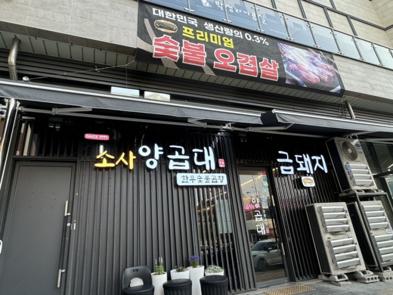 소사양곱대 이미지