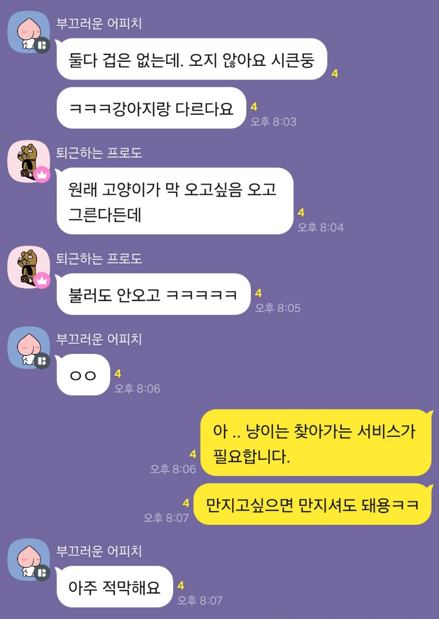 고양이 방문 탁묘 후기: 펫인플루언서의 세심한 돌봄 경험 — 사진 12