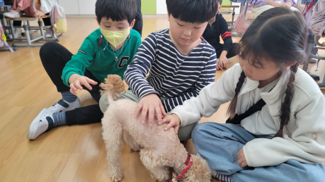 꼬미꼬미수산 이미지