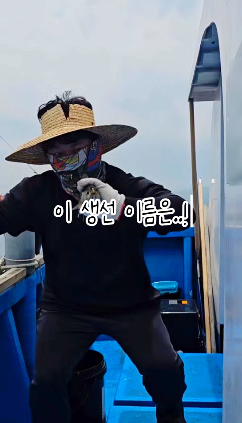 제주수산어벤져스 이미지