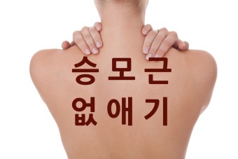 에이치짐투 이미지