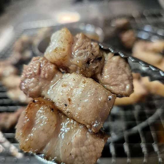 농성화로 이미지