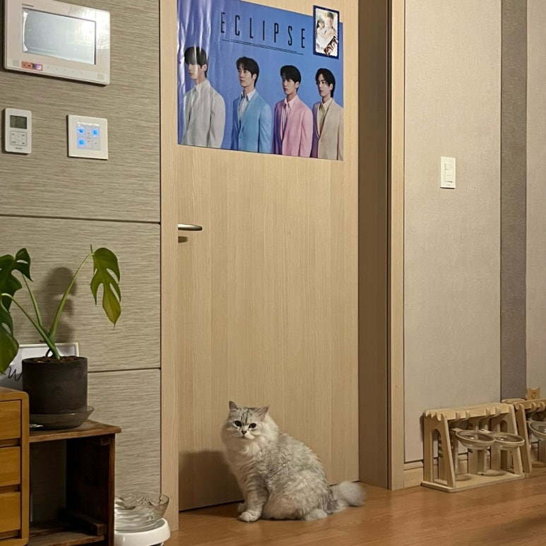 튀봉이 이미지