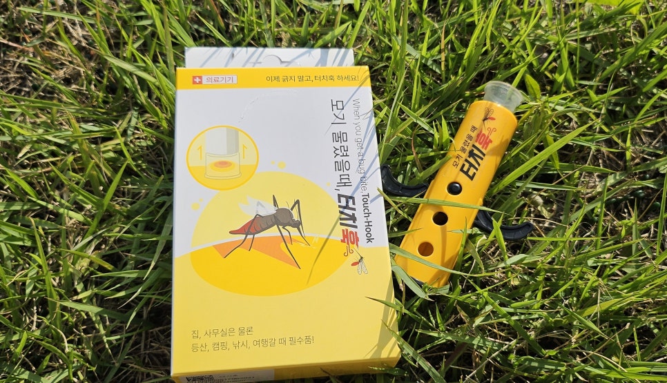 홀릭영 이미지